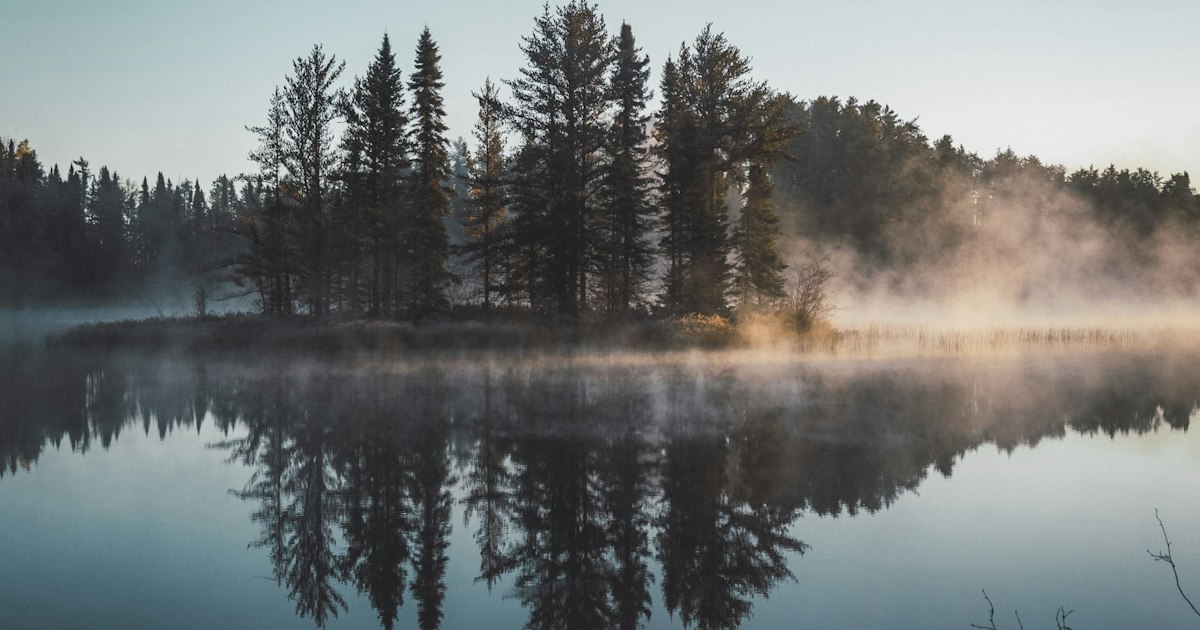 Mist boven een stille meer met dennenbomen in het vroege ochtendlicht