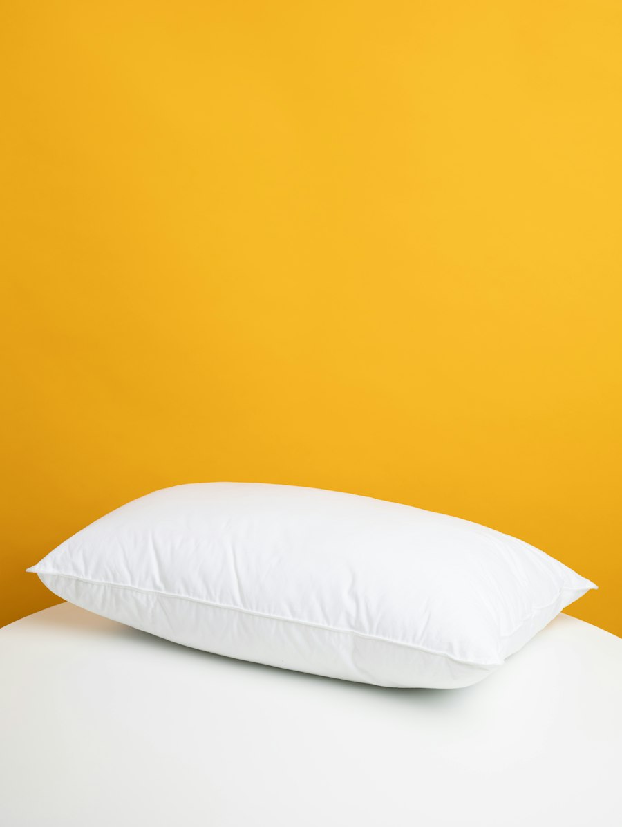 Meditate Buckwheat Cushion